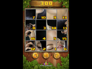 Игра Пазл Тег (PuzzleTag) — играть онлайн бесплатно (изображение №8)