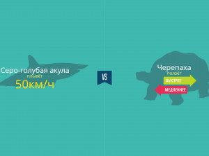 Игра Быстрее или Медленнее (Faster or Slower) — играть онлайн бесплатно (изображение №7)