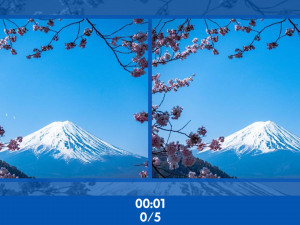 Игра Найди 500 отличий (Find 500 Differences) — играть онлайн бесплатно (изображение №3)