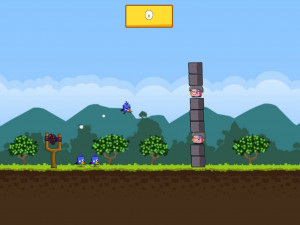 Игра Сумасшедшие Птицы (Crazy Birds) — играть онлайн бесплатно (изображение №7)