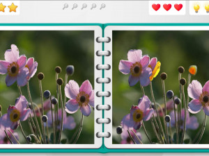 Игра Найди Отличие (Spot The Difference) — играть онлайн бесплатно (изображение №4)