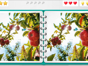 Игра Найди Отличие (Spot The Difference) — играть онлайн бесплатно (изображение №5)