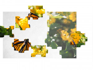 Игра Фотопазл: Лето (Jigsaw Photo Puzzle: Summer) — играть онлайн бесплатно (изображение №6)