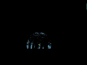 Игра Кодекс Снайпера (The Sniper Code) — играть онлайн бесплатно (изображение №6)