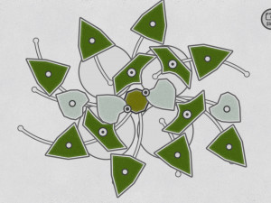 Игра Сложи Фигуры: Природа (Shape Fold Nature) — играть онлайн бесплатно (изображение №7)