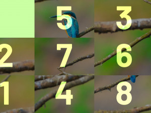 Игра Фото Пазл: Слайд Издание (Photo Puzzle: Slide Edition) — играть онлайн бесплатно (изображение №4)