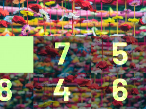 Игра Фото Пазл: Слайд Издание (Photo Puzzle: Slide Edition) — играть онлайн бесплатно (изображение №2)