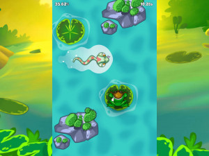 Игра Гонка на Пруду (Pond Race) — играть онлайн бесплатно (изображение №3)