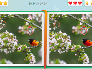 Игра Найди Отличия: Времена Года (Spot The Difference: Seasons) — играть онлайн бесплатно (изображение №2)