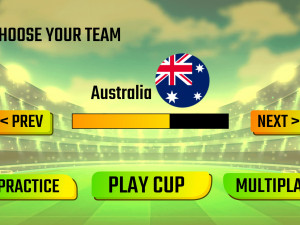Игра Кубок Мира по Футболу (Soccer Skills World Cup) — играть онлайн бесплатно (изображение №4)