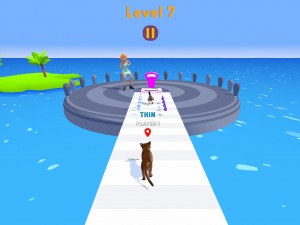 Игра Тренер Домашних Животных (Pet Trainer) — играть онлайн бесплатно (изображение №6)