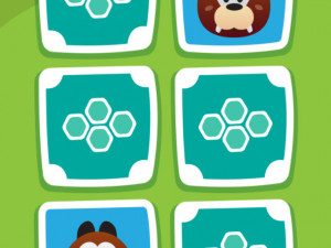 Игра Найди Пару (Pick & Match) — играть онлайн бесплатно (изображение №2)