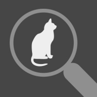 скрытый объект